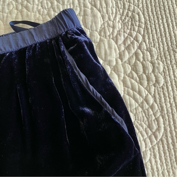 EUC Eileen Fisher blue velvet pants - Picture 6 of 12